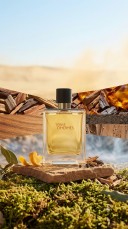 Hermès - Terre d'Hermès Parfum